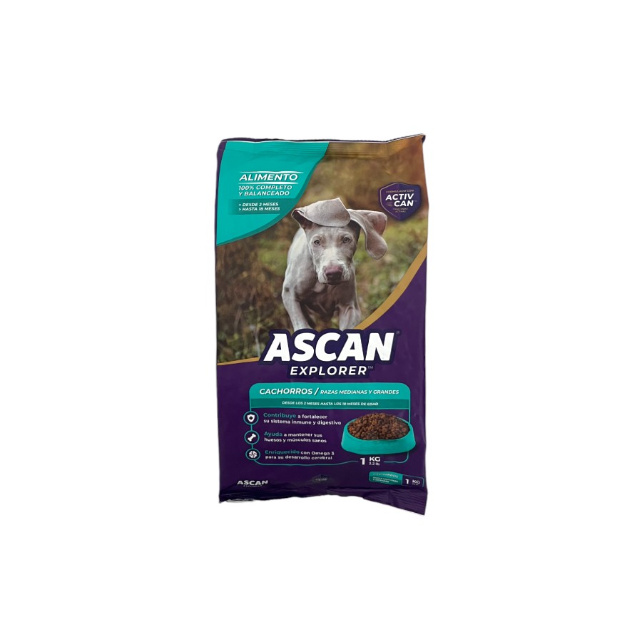 ALIMENTO PARA PERRO CACHORRO ASCAN 1000G
